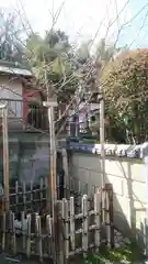 浄土宗 光明山 大蓮寺（照曜会館）の自然