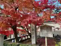 禅林寺(永観堂)(京都府)