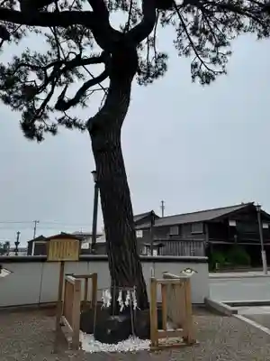 姥神大神宮(北海道)