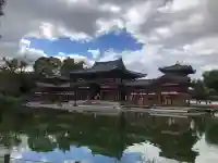 平等院の{uncategorized: "未分類", other: "その他", undefined: "問題あり", building: "その他建物", grave: "お墓", sacred_gate: "鳥居", guardian: "狛犬", statue: "像", buddha: "仏像", history: "歴史", nature: "自然", garden: "庭園", animal: "動物", pagoda: "塔", temizu: "手水舎", mountain_gate: "山門・神門", sanctuary: "本殿・本堂", subordinate: "末社・摂社", art: "芸術", scenery: "景色", jizo: "地蔵", ema: "絵馬", goshuin: "御朱印", omikuji: "おみくじ", items: "授与品その他", amulet: "お守り", goshuincho: "御朱印帳", eats: "食事", festival: "お祭り", votive_dance: "神楽", shichigosan: "七五三参", wedding: "結婚式", experience: "体験その他", initially: "初詣", around: "周辺", anti_infection: "感染症対策"}