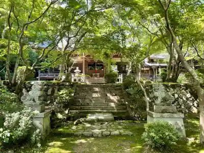 勝持寺(花の寺)の本殿・本堂