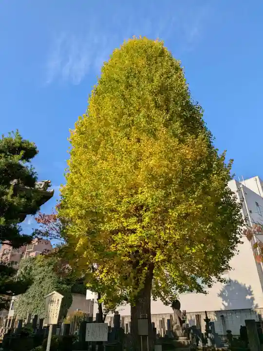 瑞円寺(東京都)