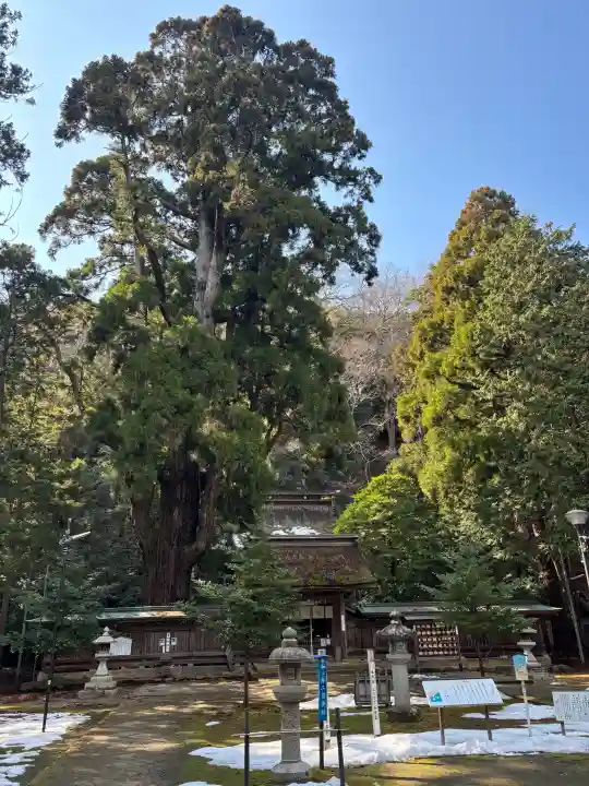 若狭姫神社(若狭彦神社下社)(福井県)