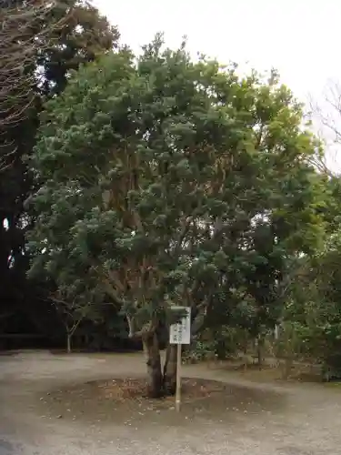 大洗磯前神社の自然