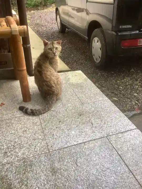 玉野御嶽神社の動物