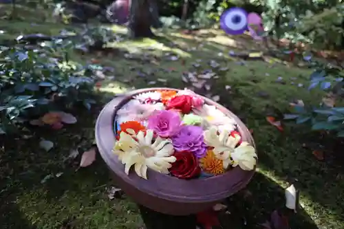 勝林寺(京都府)