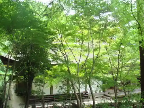 金剛輪寺の自然