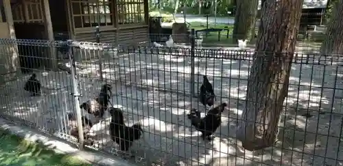 身曾岐神社の動物