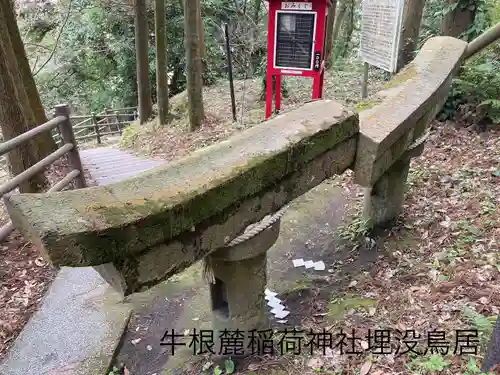 牛根麓稲荷神社(鹿児島県)