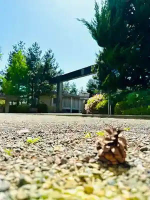 福井神社(福井県)