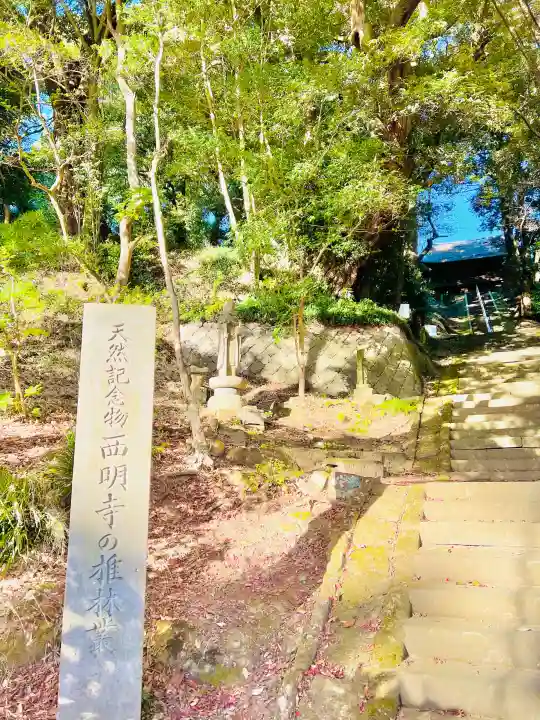 西明寺の{uncategorized: "未分類", other: "その他", undefined: "問題あり", building: "その他建物", grave: "お墓", sacred_gate: "鳥居", guardian: "狛犬", statue: "像", buddha: "仏像", history: "歴史", nature: "自然", garden: "庭園", animal: "動物", pagoda: "塔", temizu: "手水舎", mountain_gate: "山門・神門", sanctuary: "本殿・本堂", subordinate: "末社・摂社", art: "芸術", scenery: "景色", jizo: "地蔵", ema: "絵馬", goshuin: "御朱印", omikuji: "おみくじ", items: "授与品その他", amulet: "お守り", goshuincho: "御朱印帳", eats: "食事", festival: "お祭り", votive_dance: "神楽", shichigosan: "七五三参", wedding: "結婚式", experience: "体験その他", initially: "初詣", around: "周辺", anti_infection: "感染症対策"}