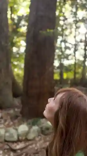 香取神宮(千葉県)