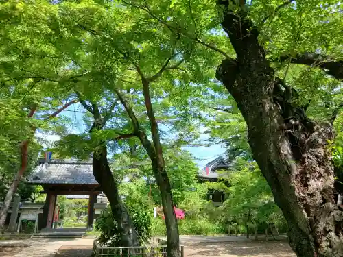 金乘院(千葉県)