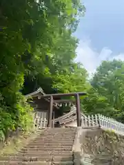 戸隠神社奥社の鳥居