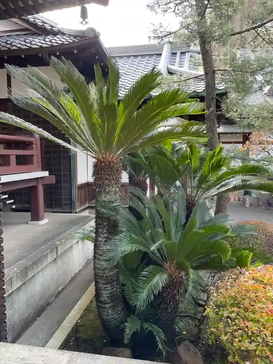 心行寺(東京都)