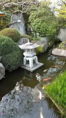 一乗院(身代不動尊) の庭園