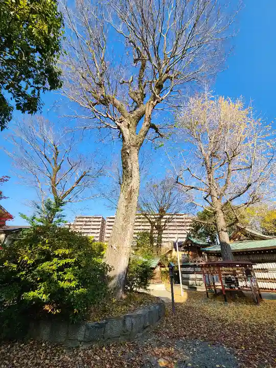 呉服神社(大阪府)