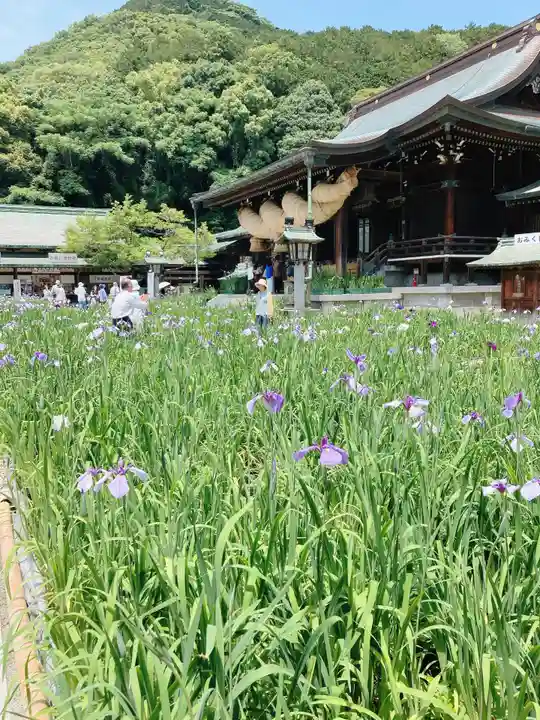 宮地嶽神社(福岡県)