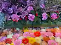 白山神社(新潟県)