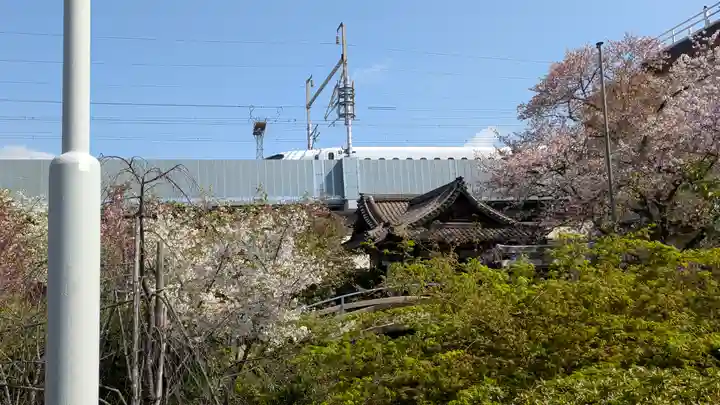 六孫王神社(京都府)