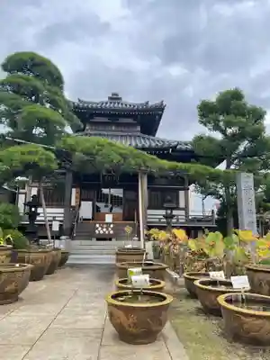 最勝寺の本殿・本堂