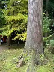 有子山稲荷神社の自然