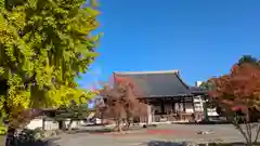 妙覺寺（妙覚寺）(京都府)