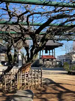 慈恩寺(埼玉県)