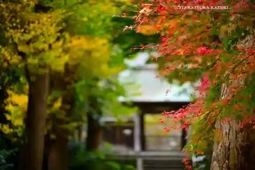 円覚寺(神奈川県)