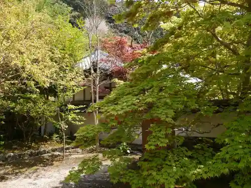 桑実寺の建物その他