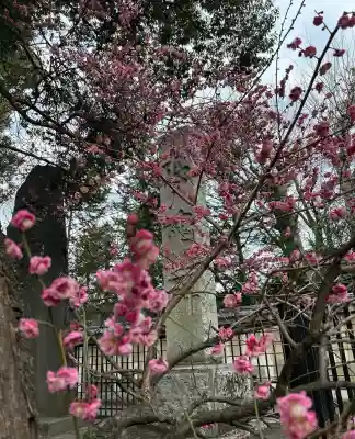 布多天神社(東京都)