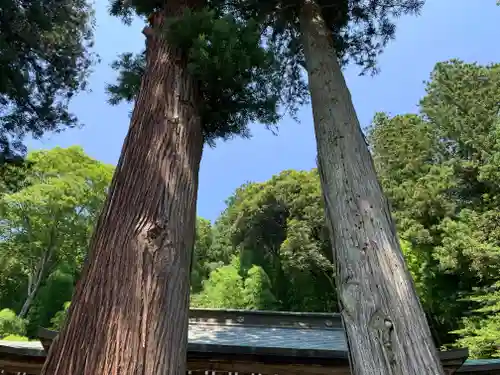 伊王野温泉神社(栃木県)