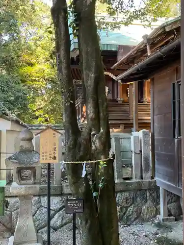 八王子神社(愛知県)