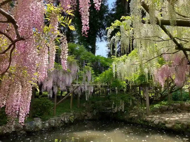 春日大社(奈良県)