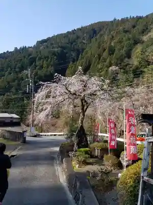 日蓮宗 総本山 塔頭 定林坊(じょうりんぼう)(山梨県)