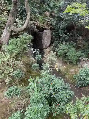 法金剛院(京都府)