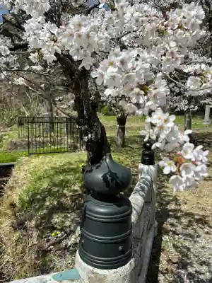 土津神社｜こどもと出世の神さまの{uncategorized: "未分類", other: "その他", undefined: "問題あり", building: "その他建物", grave: "お墓", sacred_gate: "鳥居", guardian: "狛犬", statue: "像", buddha: "仏像", history: "歴史", nature: "自然", garden: "庭園", animal: "動物", pagoda: "塔", temizu: "手水舎", mountain_gate: "山門・神門", sanctuary: "本殿・本堂", subordinate: "末社・摂社", art: "芸術", scenery: "景色", jizo: "地蔵", ema: "絵馬", goshuin: "御朱印", omikuji: "おみくじ", items: "授与品その他", amulet: "お守り", goshuincho: "御朱印帳", eats: "食事", festival: "お祭り", votive_dance: "神楽", shichigosan: "七五三参", wedding: "結婚式", experience: "体験その他", initially: "初詣", around: "周辺", anti_infection: "感染症対策"}