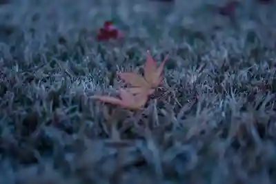 諏訪大社上社前宮(長野県)