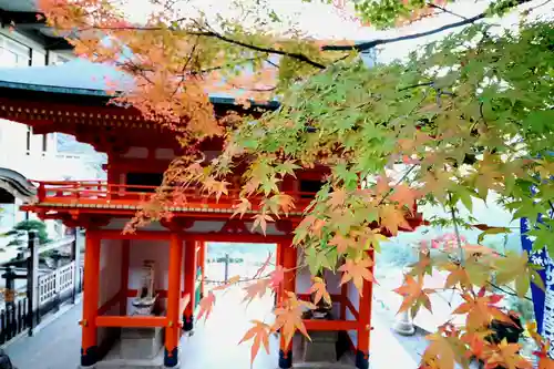 青岸渡寺(和歌山県)