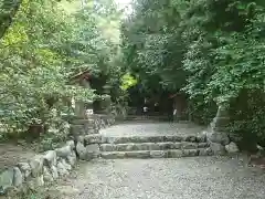 伊良湖神社の建物その他