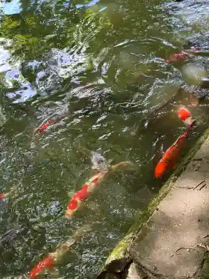 高鴨神社(奈良県)