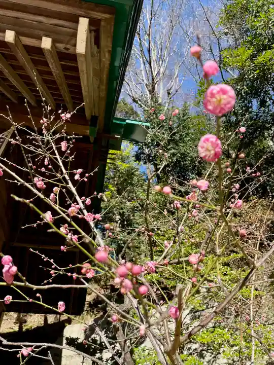 上野毛稲荷神社(東京都)