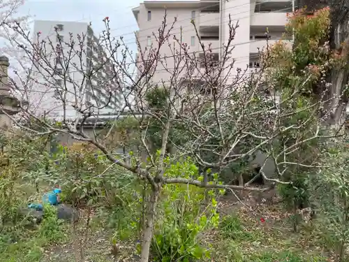 蓮花寺(大阪府)