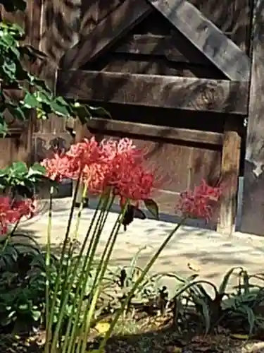 大光寺のその他建物