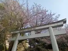 熊野神社(東京都)