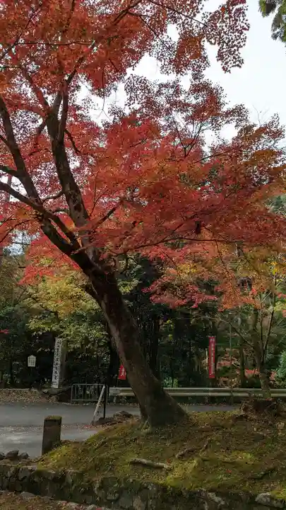 毘沙門堂門跡(京都府)