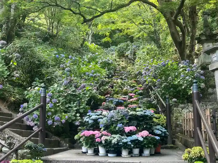 長谷寺(奈良県)