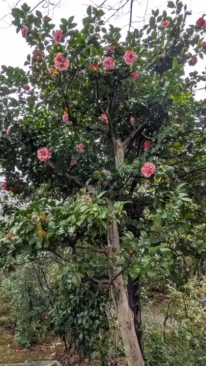 眞如寺(大阪府)