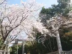 土呂八幡宮の自然