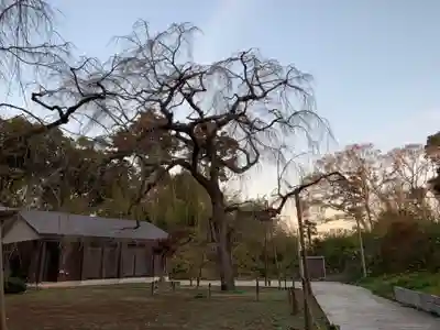 福星寺(千葉県)